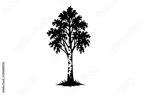 Silhouette of a tree with dense leaves on white background