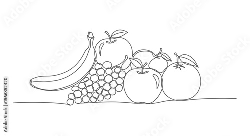 Continuous Line Art Fresh Fruit Illustration Vector of Apple Banana Grapes and Orange