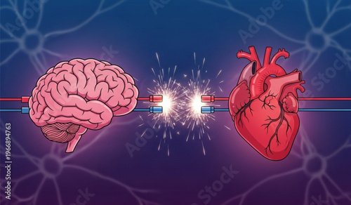 Brain and heart connected by electrical sparks and neural network