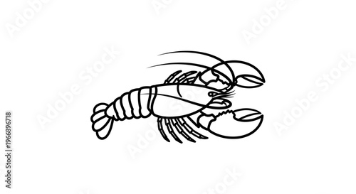 Detailed black and white line drawing illustration of a lobster, showcasing its segmented body, claws, and antennae on a plain background.
