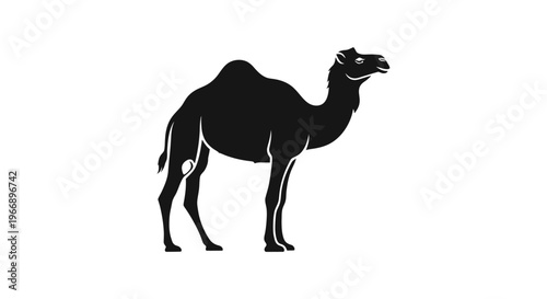 Black silhouette of a dromedary camel standing, isolated on a white background, depicting desert animal.