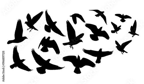 Dynamic bird silhouettes in motion flying flock action vector illustration set
