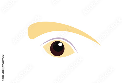 Vector illustration of a human eye with eyebrow