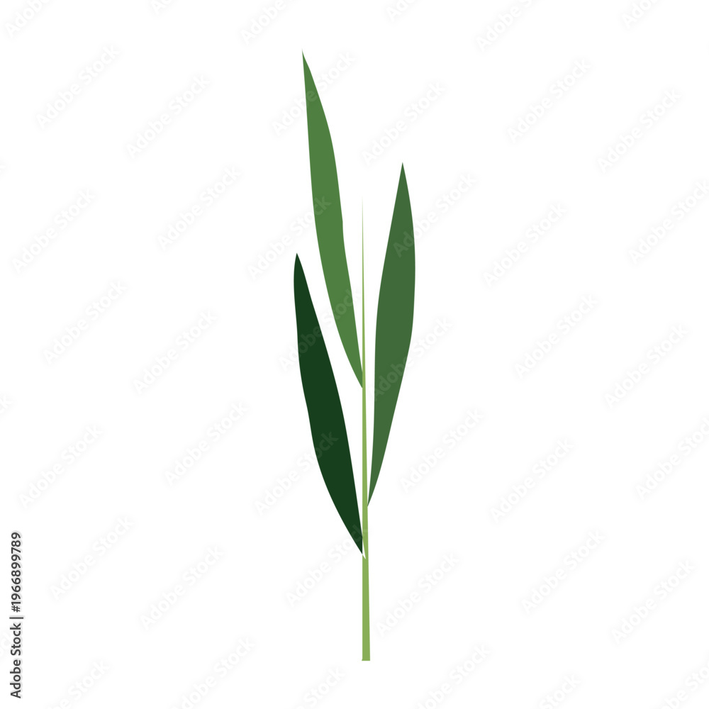 Fototapeta premium An illustration of green leaves