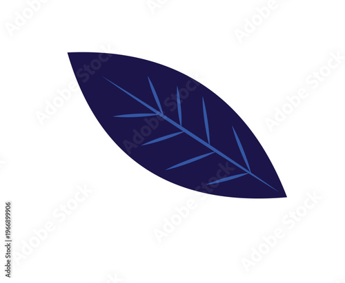 Dark blue leaf with light blue veins
