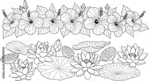 Hand Drawn Hibiscus and Lotus Flowers Botanical Line Art Borders, Tropical Floral Outline Collection with Water Lily Leaves for Decorative Vector Design