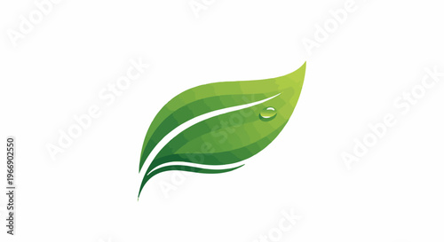 Green leaf with dewdrop, stylized and flowing, isolated on white