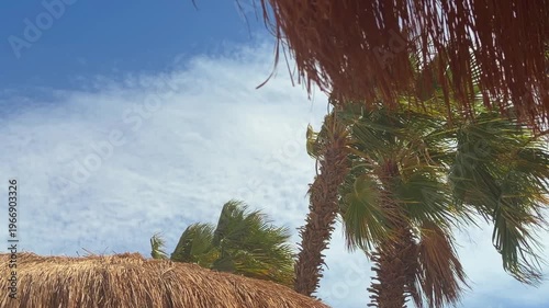 Relaxing Tropical Scene. Peaceful Resort Atmosphere Featuring Shaded Umbrellas And Gentle Breezes