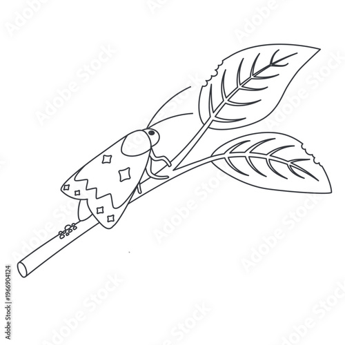 Codling moth laying eggs on branch garden pest insect damaging plant. Outline vector illustration