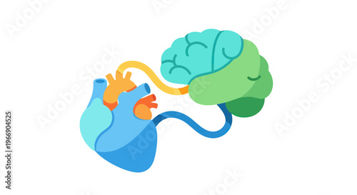 Connected Brain and Heart Illustration: Logic and Emotion Balance