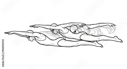 Synchronized swimmers training, butterfly stroke, water sport illustration