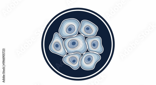 Microscopic view of clustered cells with nuclei inside a circular frame