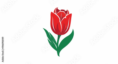 A single red tulip with green leaves and stem on a white background