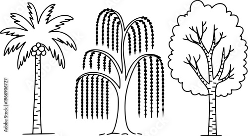 Simple black and white line of a palm tree a weeping willow and a deciduous tree