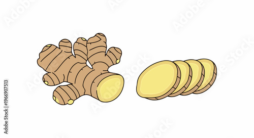 Cartoon of a whole ginger root and several slices on a white background