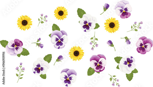 Colorful sunflower and pansy floral set, hand drawn botanical illustration, spring flower collection, decorative blooming plants, isolated nature elements design