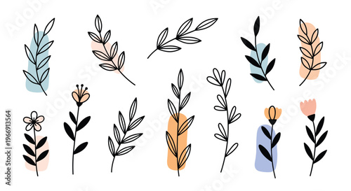 Beautiful collection of hand-drawn black and white floral branches and flowers with soft abstract color splashes in pink, orange, and blue.