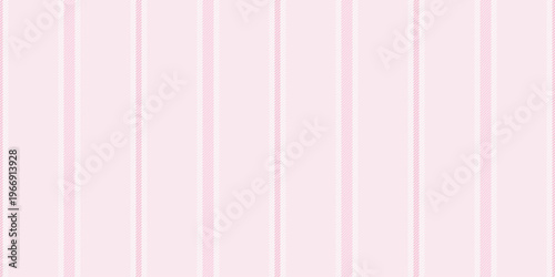 King vertical fabric pattern, old-fashioned vector background lines. Choose stripe texture textile seamless in white and light colors.