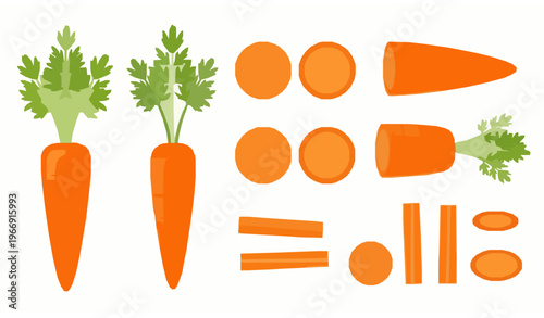 set of carrots Carrot Vegetable Vector Set Whole Sliced Flat Illustration