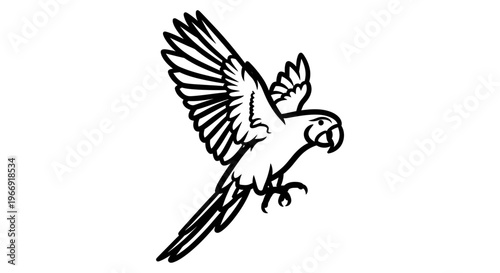 Bird illustration soaring with wings fully extended in mid-flight.
