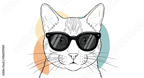 Cool cat illustration featuring a sketched feline wearing black sunglasses with orange and blue abstract shapes in the background.