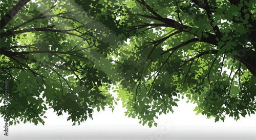 Green Tree Canopy Vector Illustration with Sun Rays isolated PNG with Transparent Background
