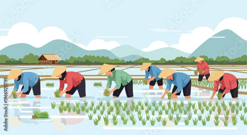 Farmers wearing conical hats plant rice seedlings in a flooded tropical paddy field