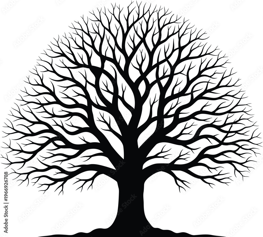 Obraz premium Silhouette of a bare tree with intricate branches against a white background.