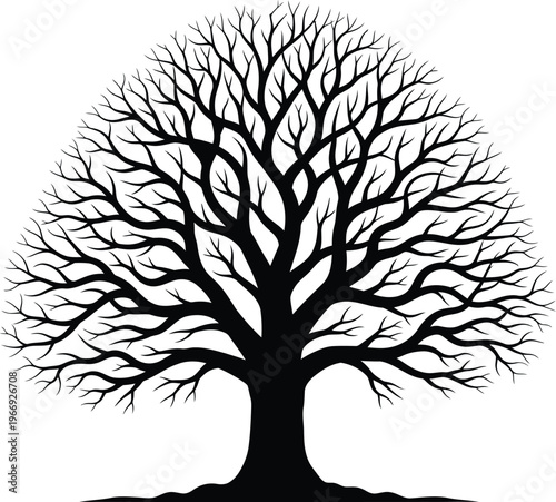 Silhouette of a bare tree with intricate branches against a white background.
