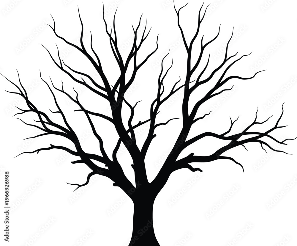 Obraz premium Silhouette of a bare tree with branches against a white background.
