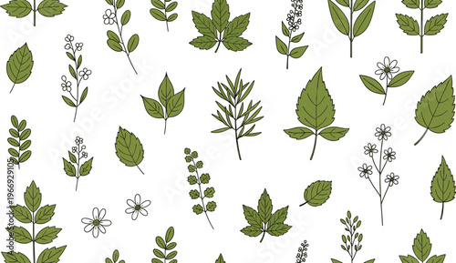 Botanical leaf vector set with herbs foliage plants and floral elements hand drawn natural collection isolated on white background