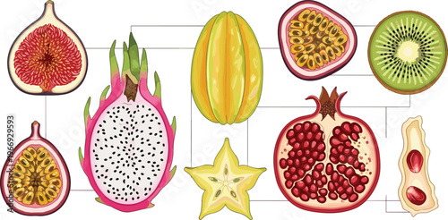 Wood Joinery and Structural Connections Set Featuring 
