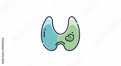 Simplified illustration of a thyroid gland with a nodule