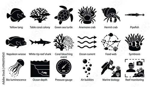 Marine biology and oceanography icon set illustrating various sea creatures, coral reef habitats, underwater phenomena, and research activities ideal for educational or scientific use.
