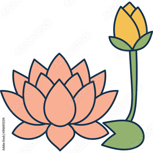 Lotus Flower and Bud Illustration