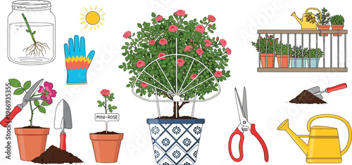 Rose Gardening and Care Process Set Featuring Propagation, Pruning, Potted Plants, Balcony Garden and Watering Tools Vector Illustration Collection