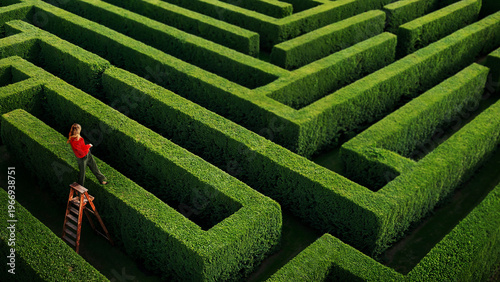 Woman standing on ladder above maze looking for direction overview and strategy. Concept of perspective, planning, leadership, problem solving, decision making and finding optimal path.