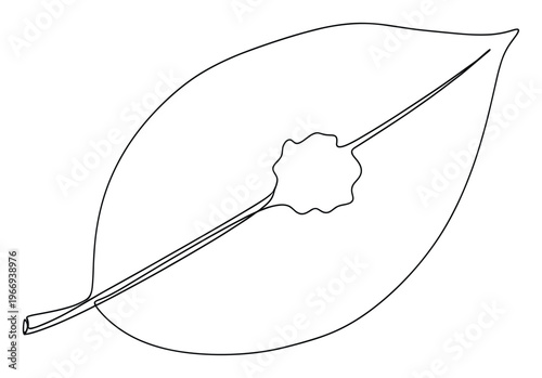 Minimalist continuous line drawing of a plant leaf with an irregular organic shape highlighting botanical structure for science education and nature themed projects