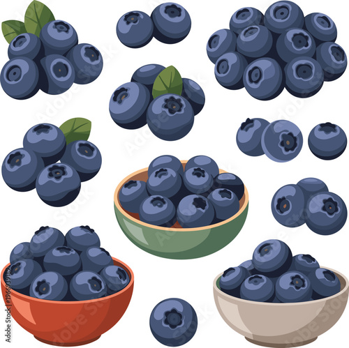 Collection of blueberries in various quantities and arrangements with some in bowls food vector on white background.