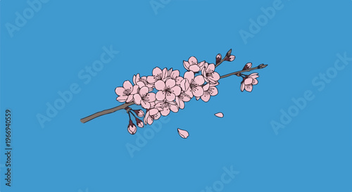 Delicate pink blossoms on a branch against a clear blue sky