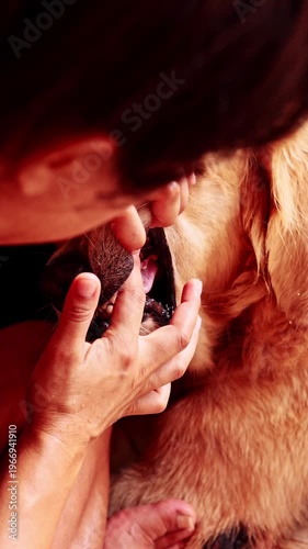 Person checking a golden retriever's teeth for cleaning