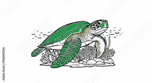 A green sea turtle swims near coral and bubbles on a white background