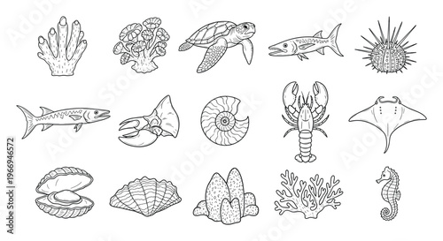 Explore a diverse collection of underwater creatures, including sea turtles, barracudas, lobsters, and corals, presented as detailed outline drawings for educational resources and
