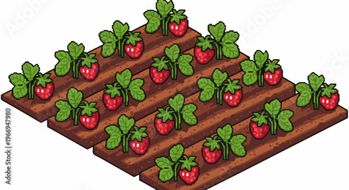 Pixelated strawberry patch in isometric view, rows of ripe red fruit