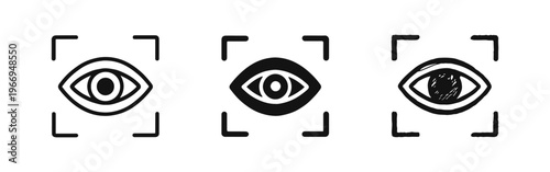 Eye Scan Icon Set. Biometric Eye Recognition and Security Symbol.