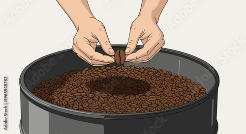 Hands holding a coffee bean above a container filled with roasted coffee beans