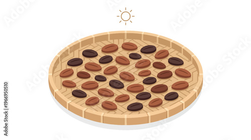 Cocoa Beans Drying on Traditional Tray Flat Vector Illustration