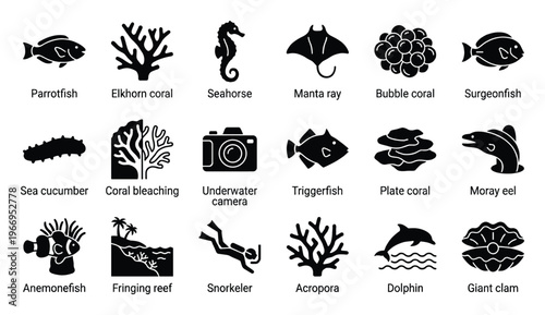 Extensive collection of diverse marine life and underwater activity icons featuring fish, corals, seahorse, manta ray, and a snorkeler, ideal for oceanography and environmental education