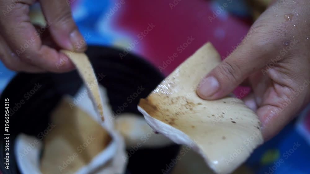 custom made wallpaper toronto digitalNatural fresh mushrooms or its Latin name Macrolepiota albuminosa, describe the harvest from nature and organic food ingredients.