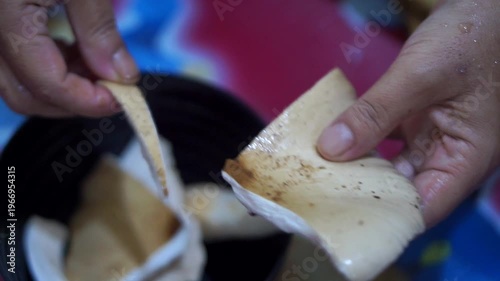 Wallpaper Mural Natural fresh mushrooms or its Latin name Macrolepiota albuminosa, describe the harvest from nature and organic food ingredients. Torontodigital.ca